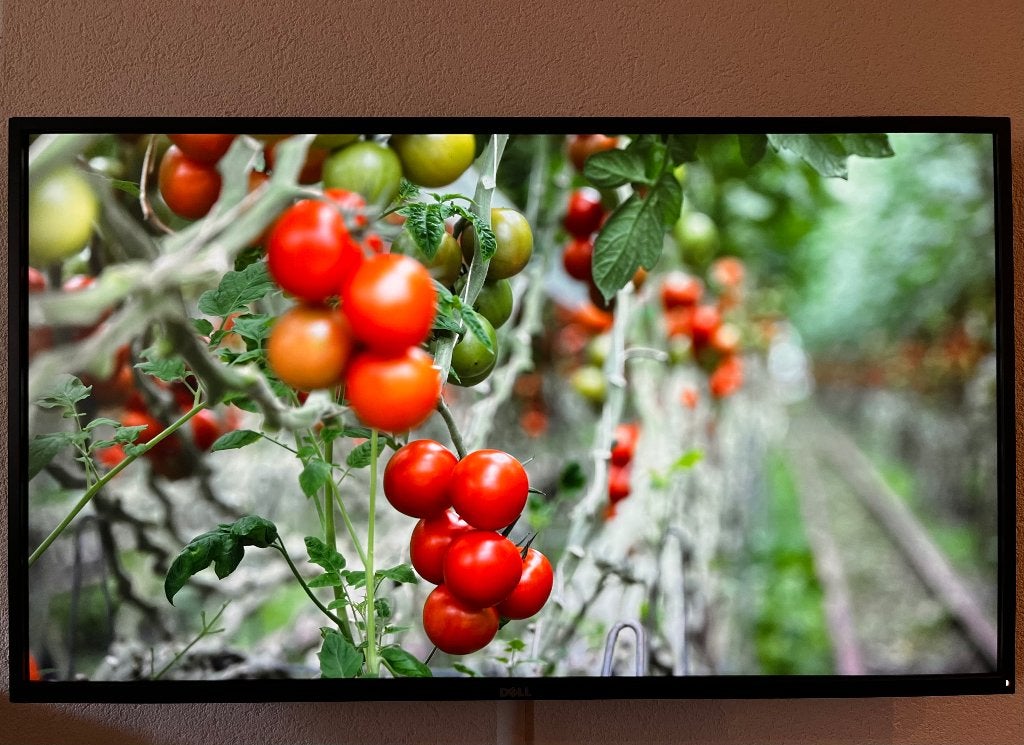 Dell professionele 43” UHD computermonitor met ophangbeugel