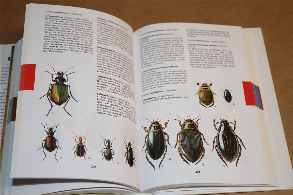 De grote Rebo natuurgids. Onze planten-en dierenwereld., Boeken, Ophalen of Verzenden, Gelezen, Bloemen, Planten en Bomen