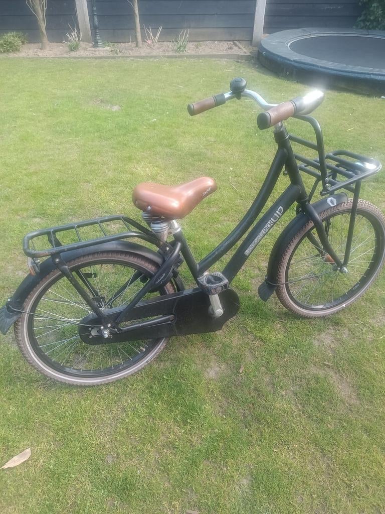 Loekie pickup fiets, Fietsen en Brommers, Ophalen, Gebruikt, 20 inch