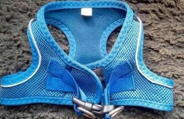 Honden tuigje voor kleine/middelgrote hond, Dieren en Toebehoren, Honden-accessoires, Ophalen of Verzenden, Zo goed als nieuw