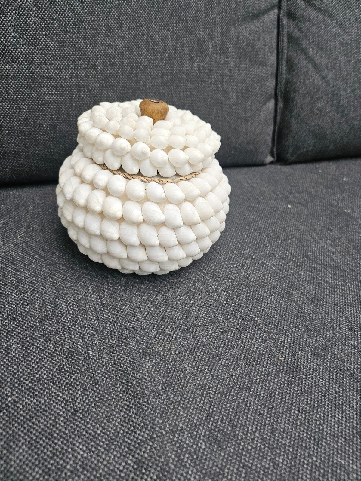 ibiixa schelpenpot  groot, Ophalen of Verzenden, Nieuw, 10 cm of meer, Overige materialen