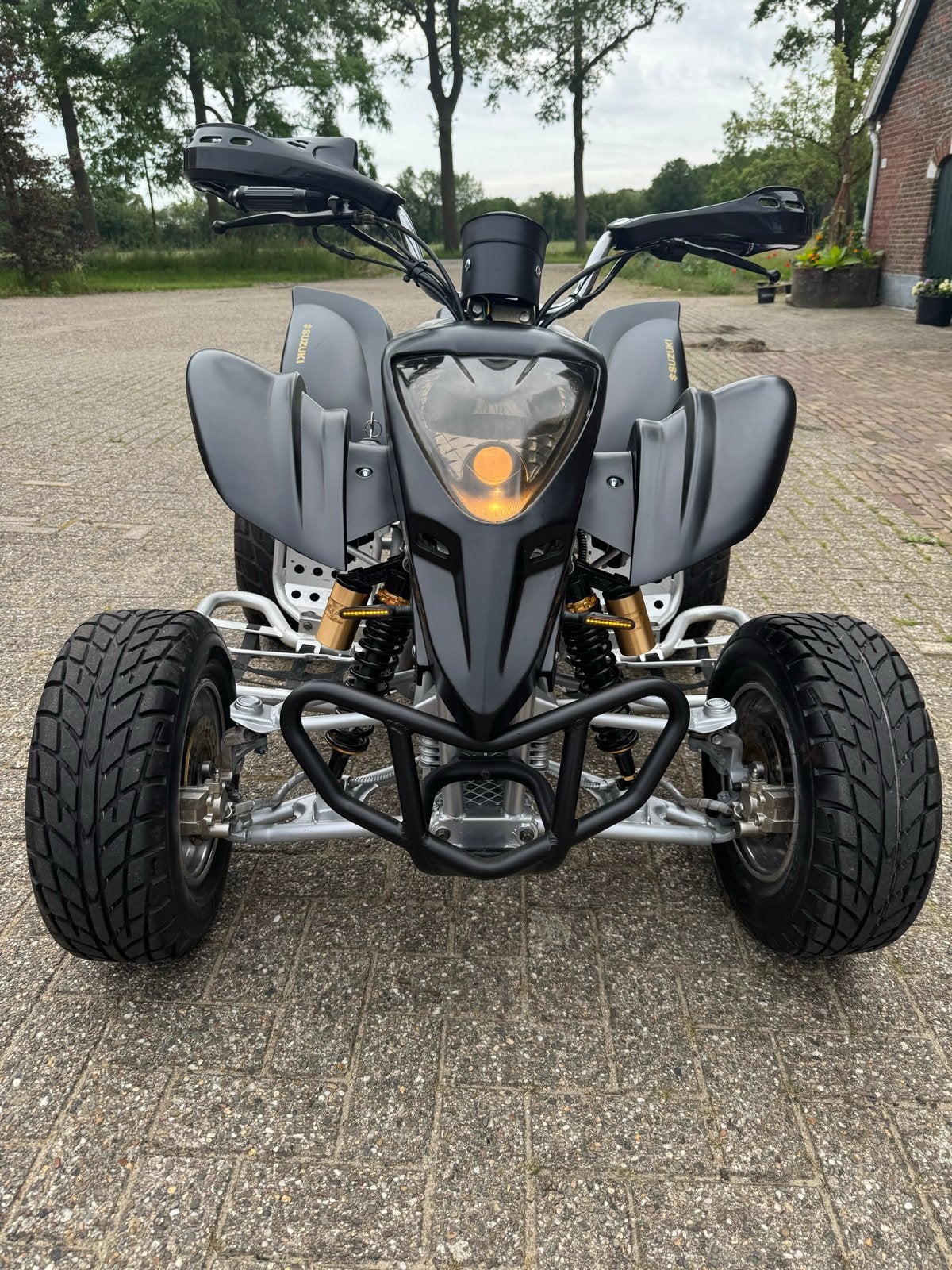 Suzuki Quad 300, 300 cc, 1 cilinder, 12 t/m 35 kW