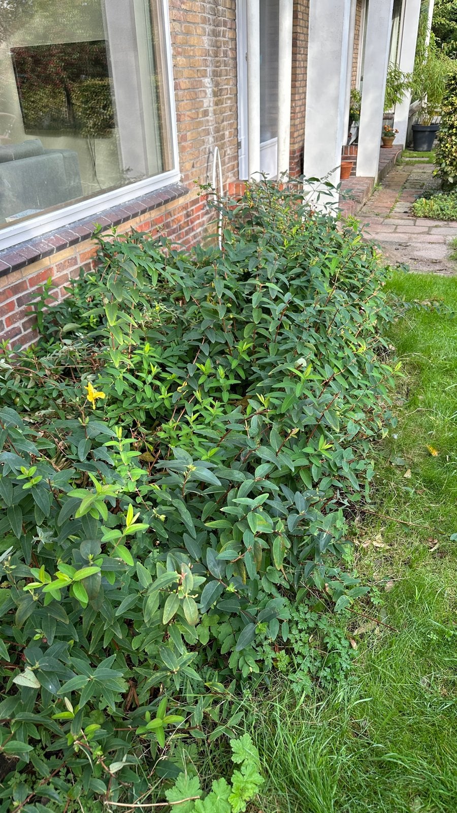 Hertshooi, Tuin en Terras, Ophalen, Overige soorten, Minder dan 100 cm