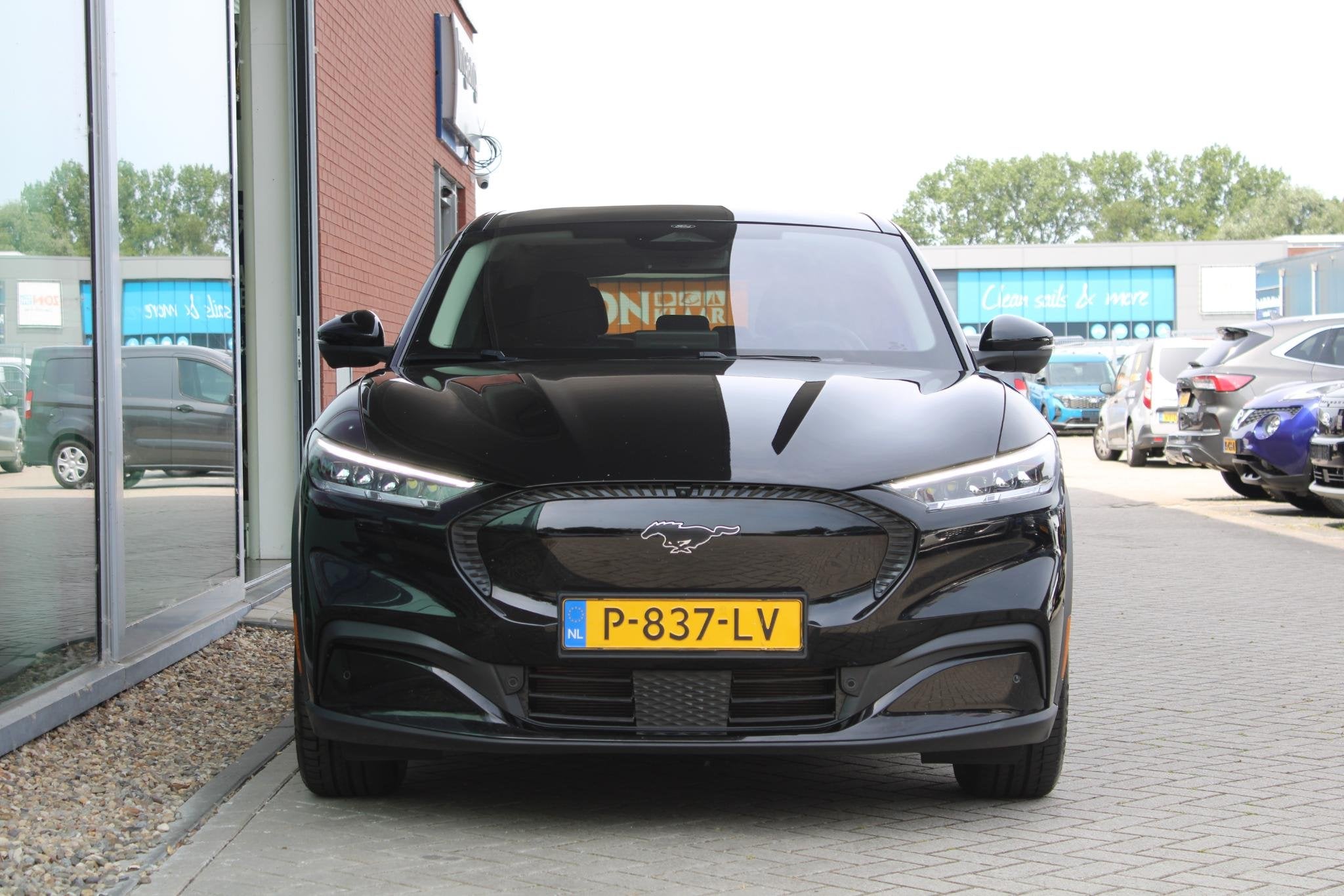 Ford Mustang Mach-E RWD 75 kWh | SOH 92,5% | B&O Audio | Tec, Automaat, Achterwielaandrijving, Gebruikt, Zwart