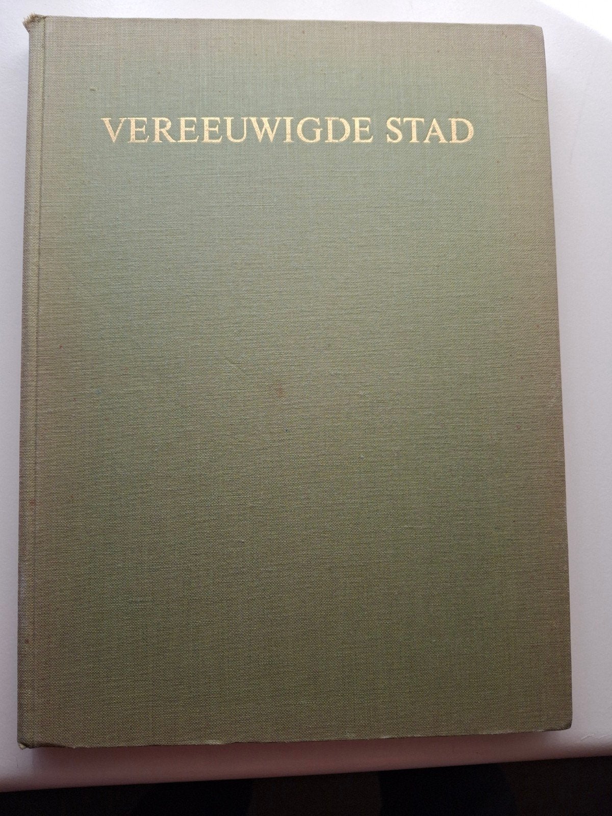 vereeuwigde stad, Boeken, Ophalen of Verzenden, Gelezen