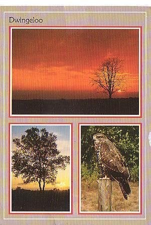 Ansichtkaart 	Dwingeloo	3-luik, Verzenden, 1980 tot heden, Gelopen, Drenthe