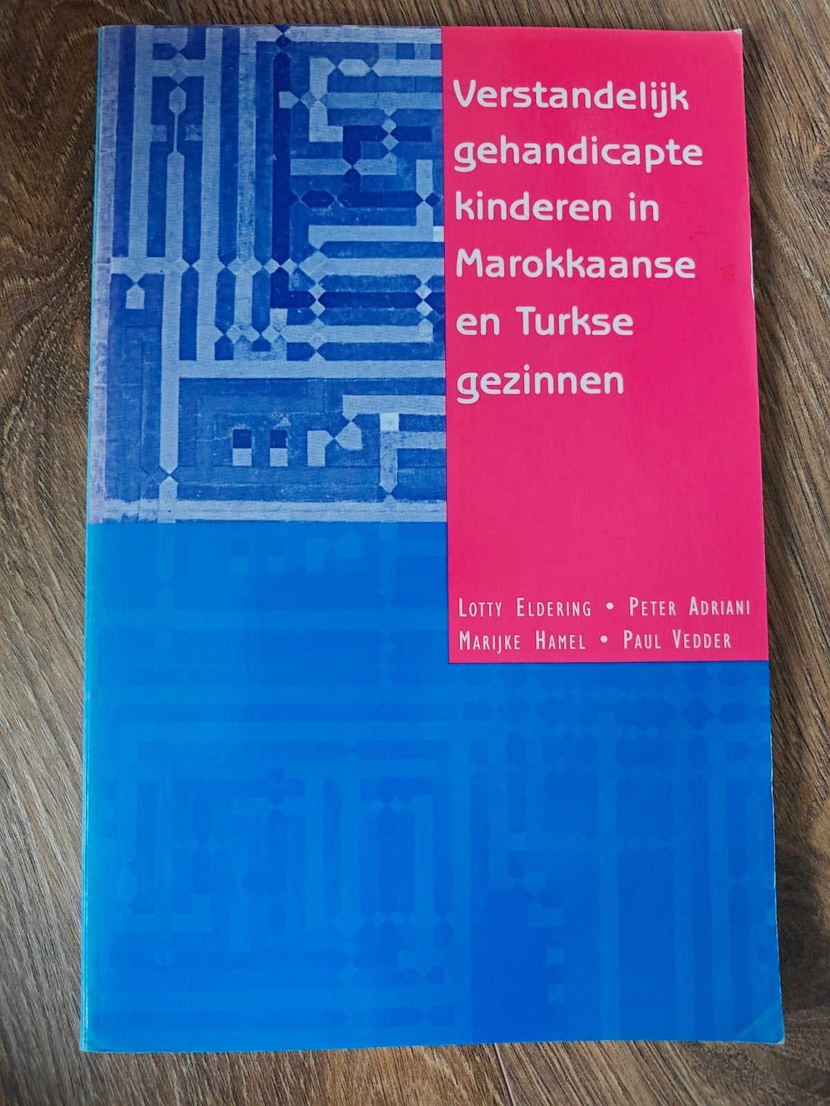 Verstandelijk gehandicapte kinderen in Marokkaanse en Turkse, Boeken, Lotty Eldering, Peter Adriani, Marijke Hamel, Paul Vedder