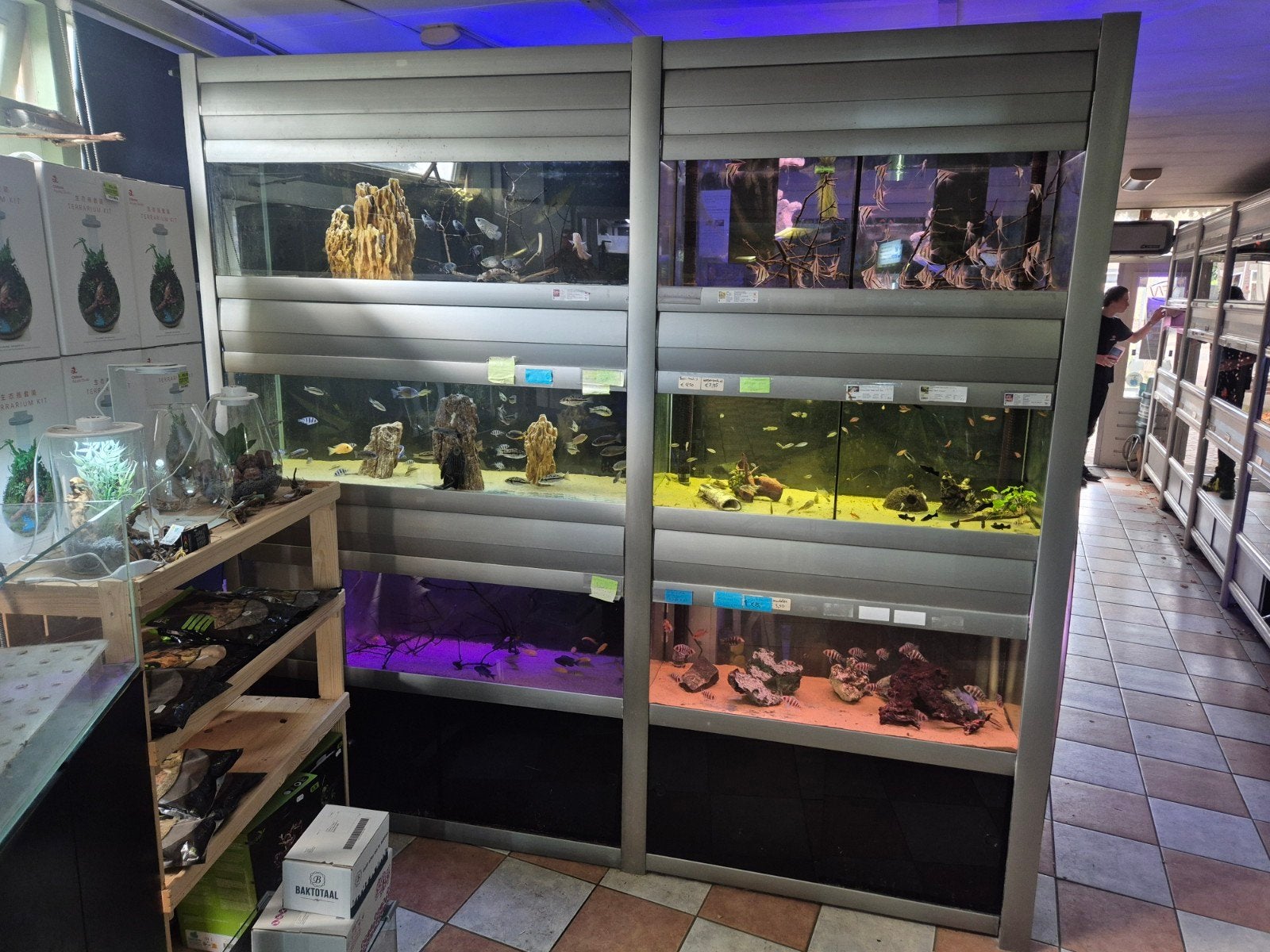 Aquarium stelling zoetwater, Ophalen, Inclusief toebehoren, Gebruikt, Leeg aquarium