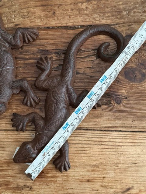 Set gekko ‘ s, Hagedis, 0 tot 2 jaar