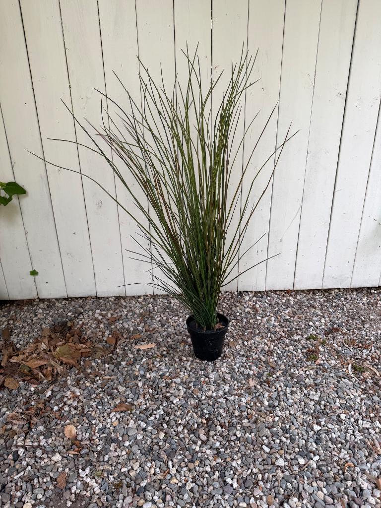 Kunstplant 110cm, Ophalen, Gebruikt, Kunstplant