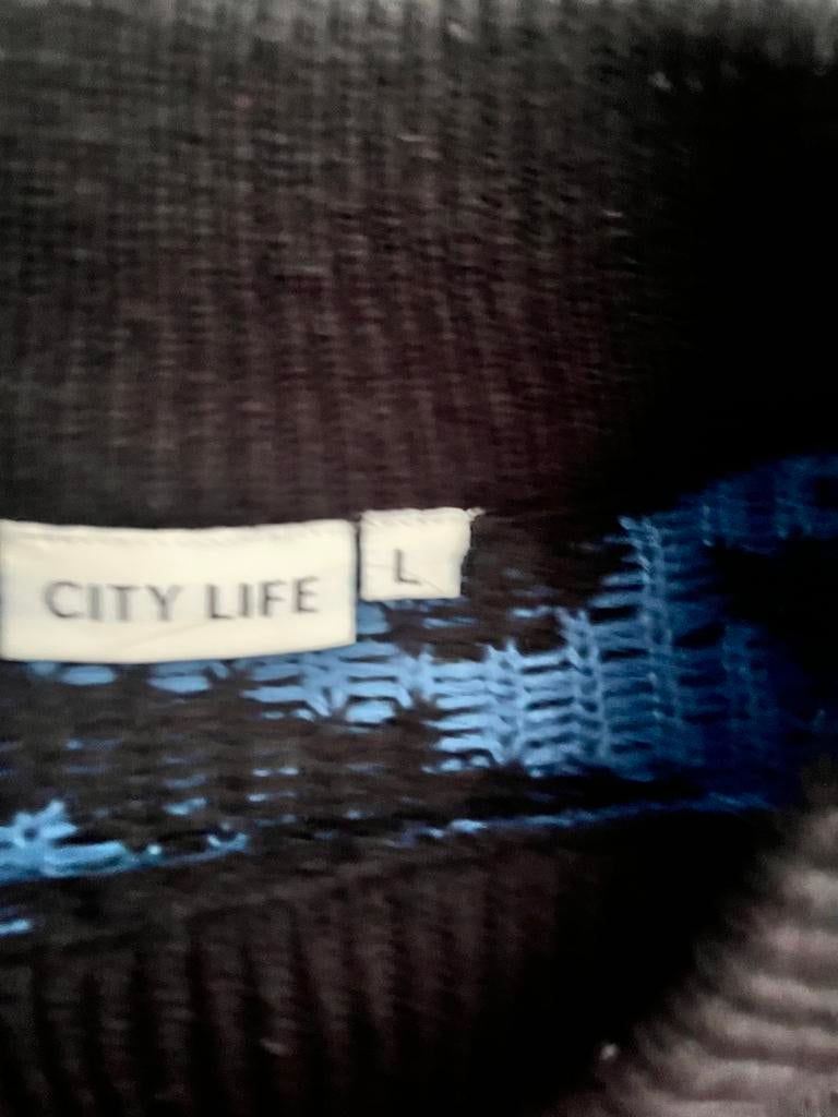City Life trui met zebraprint, Ophalen of Verzenden, Gedragen, Maat 42/44 (L), Blauw