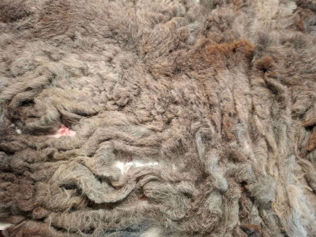 Ruwe vacht Herdwick schaap,  kan gevilt worden, Ophalen of Verzenden, Nieuw, Spinwol