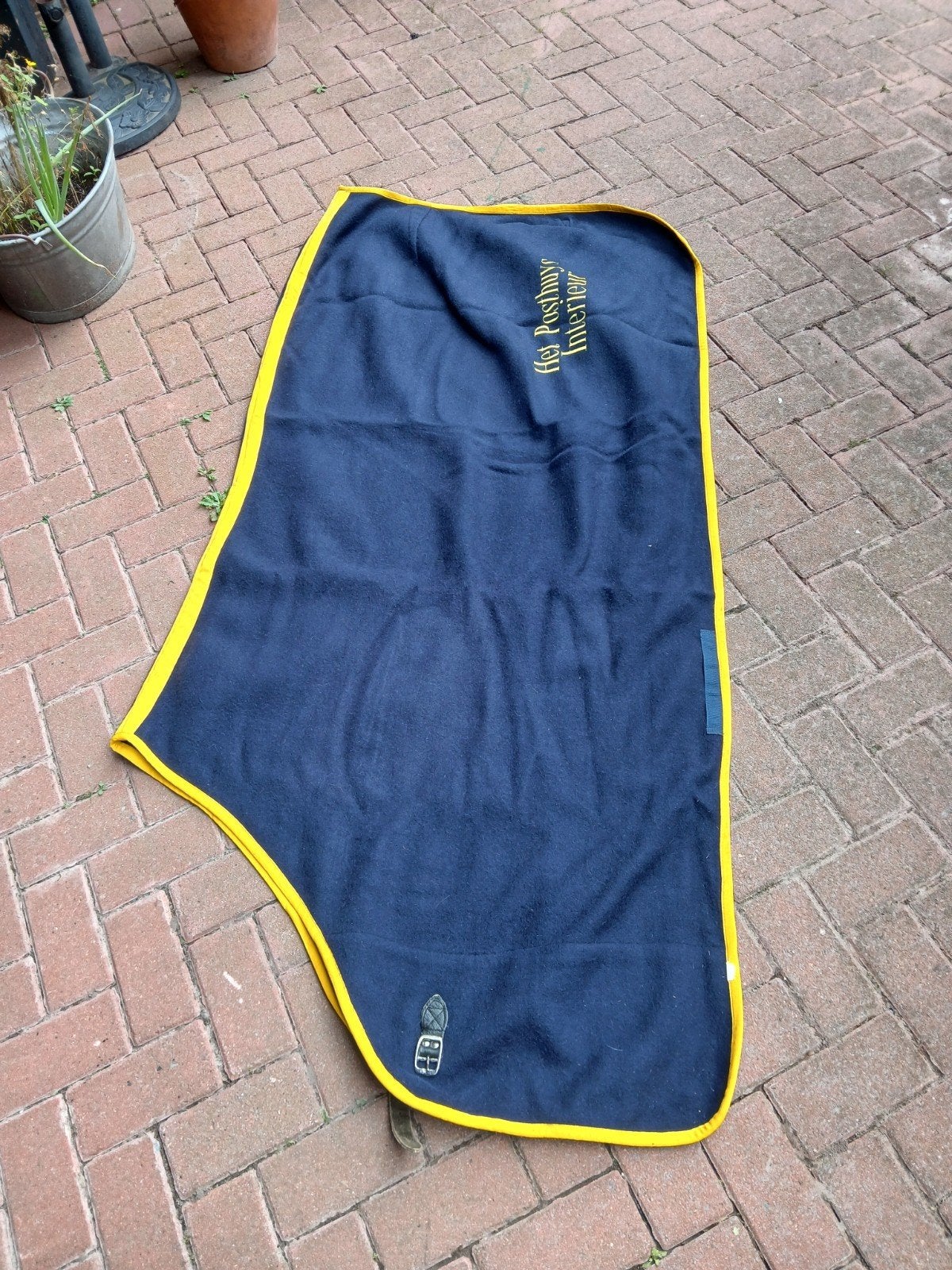 Wollen zweetdeken 205 cm, Dieren en Toebehoren, Full (L), Gebruikt, Ophalen of Verzenden, Blauw