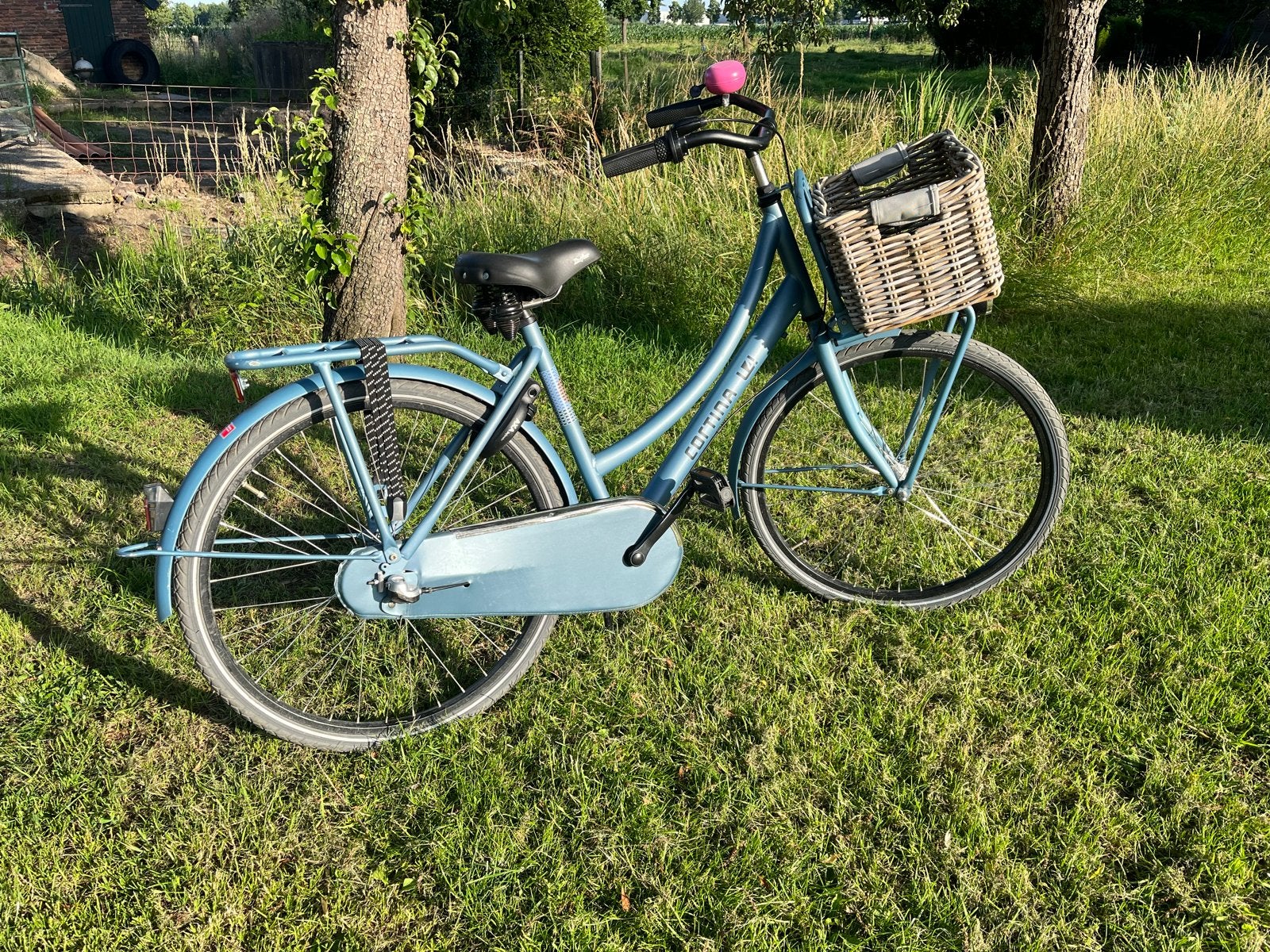 Cortina U4 Transportfiets Dames/meisjes 26 inch, Terugtraprem, Gebruikt, Versnellingen, Ophalen