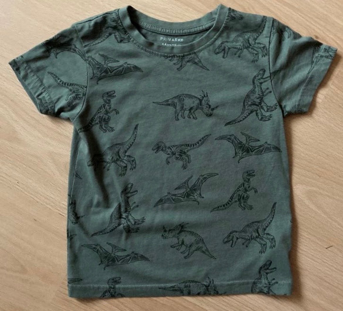 Stoer groen T-shirt met dinosaurusprint mt 116 PRIMARK, Kinderen en Baby's, Kinderkleding | Maat 116, Ophalen of Verzenden, Nieuw