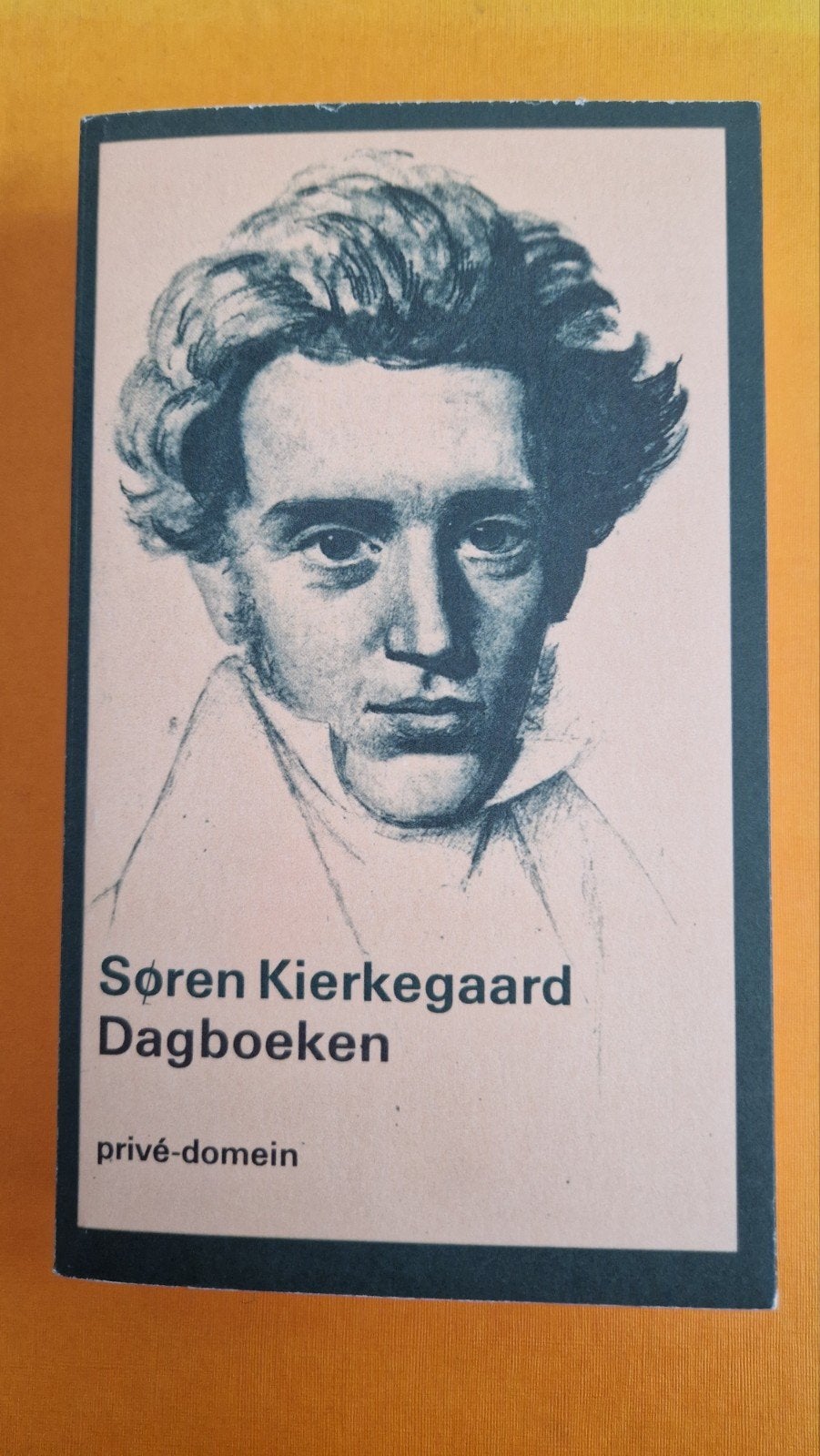 Søren Kierkegaard - Dagboeken (Privé-domein), Boeken, Ophalen of Verzenden, Gelezen, Søren Kierkegaard, Esoterie en Spiritualiteit