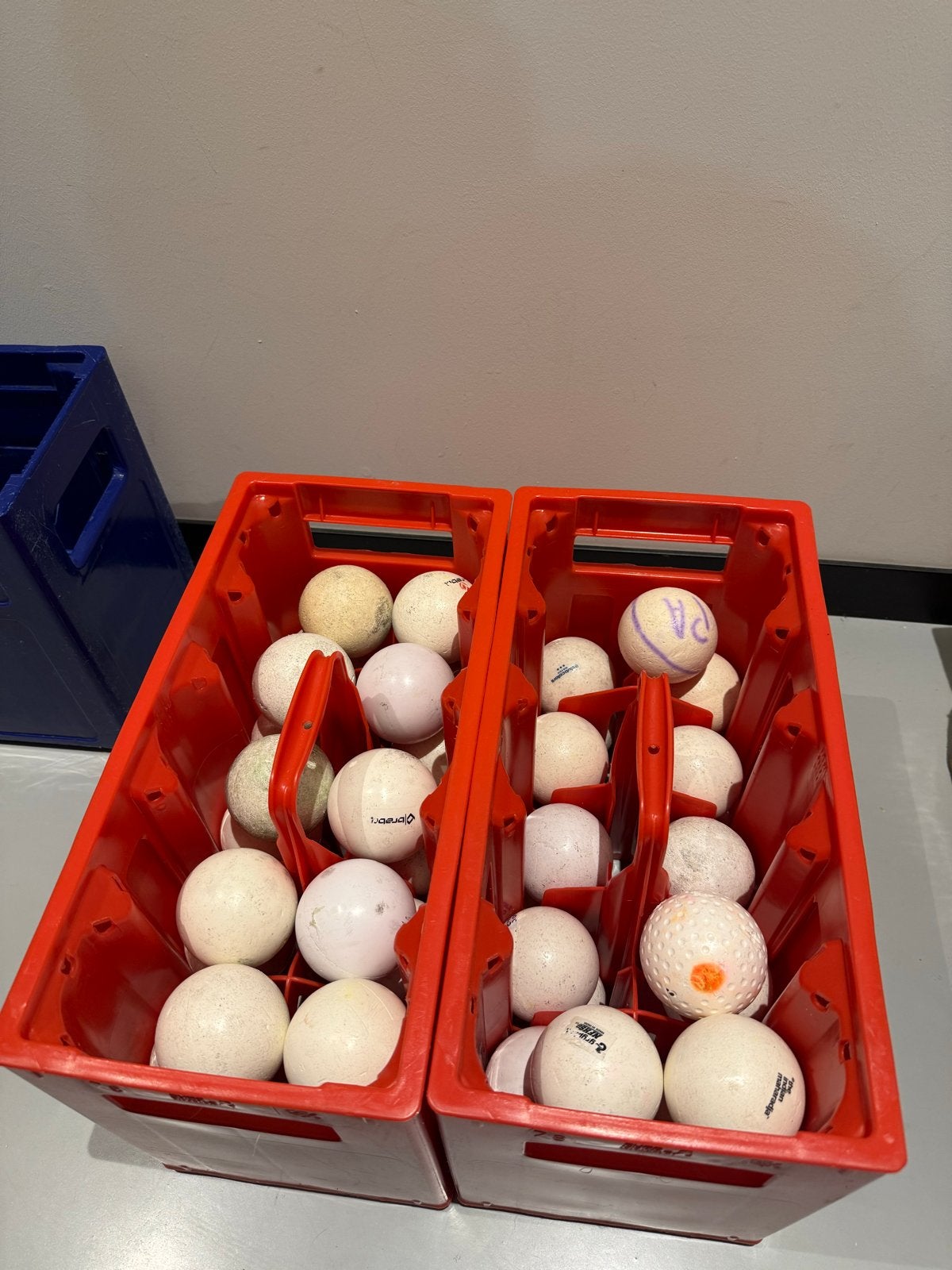 Hockeyballen, Sport en Fitness, Ophalen, Gebruikt, Bal