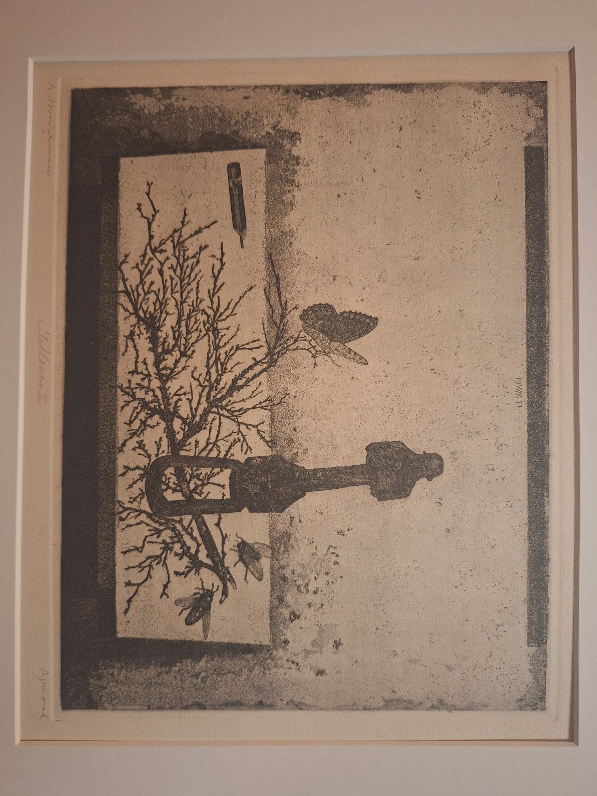 Ets 'Insecten' door H. Minderman, Antiek en Kunst, Ophalen of Verzenden, Flora en Fauna, Origineel, 1950 - 1999