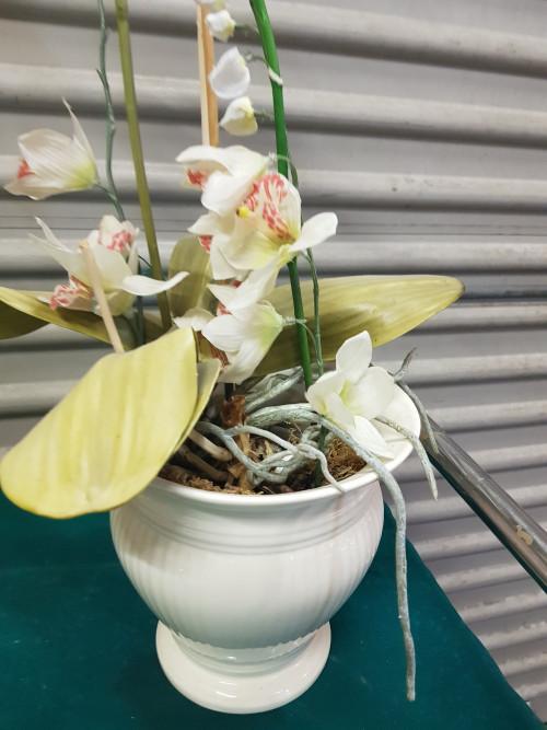 kunst plant orchideeen wit en paars, Ophalen of Verzenden, 'T Olde Gre-j, Info@toldegrej.nl, Endepoelstraat 20f Didam