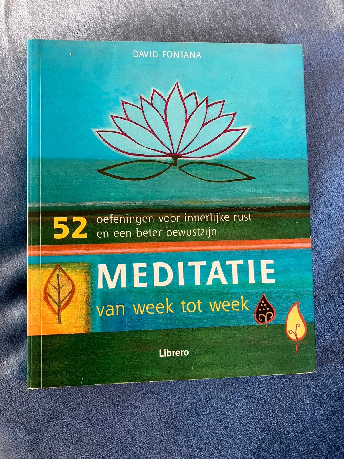 David Fontana - Meditatie van week tot week, Boeken, Esoterie en Spiritualiteit, Ophalen, Meditatie of Yoga, David Fontana