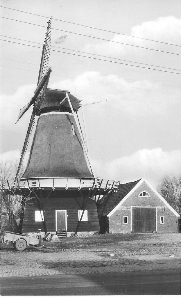 Ansichtkaart Vrouwenparochie - De Vrouwbuurtstermolen, Ophalen of Verzenden, 1960 tot 1980, Ongelopen, Friesland