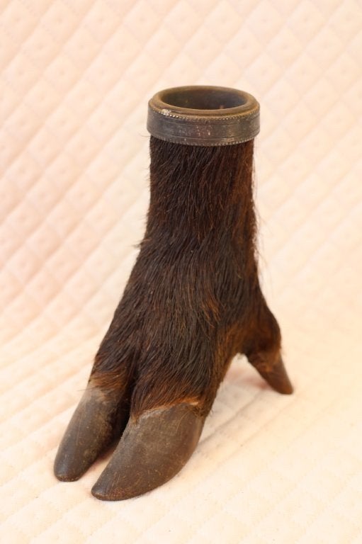 taxidermie - opgezette everzwijnpoot inktpot, Verzamelen, Dierenverzamelingen, Ophalen of Verzenden, Gebruikt, Wild dier, Opgezet dier