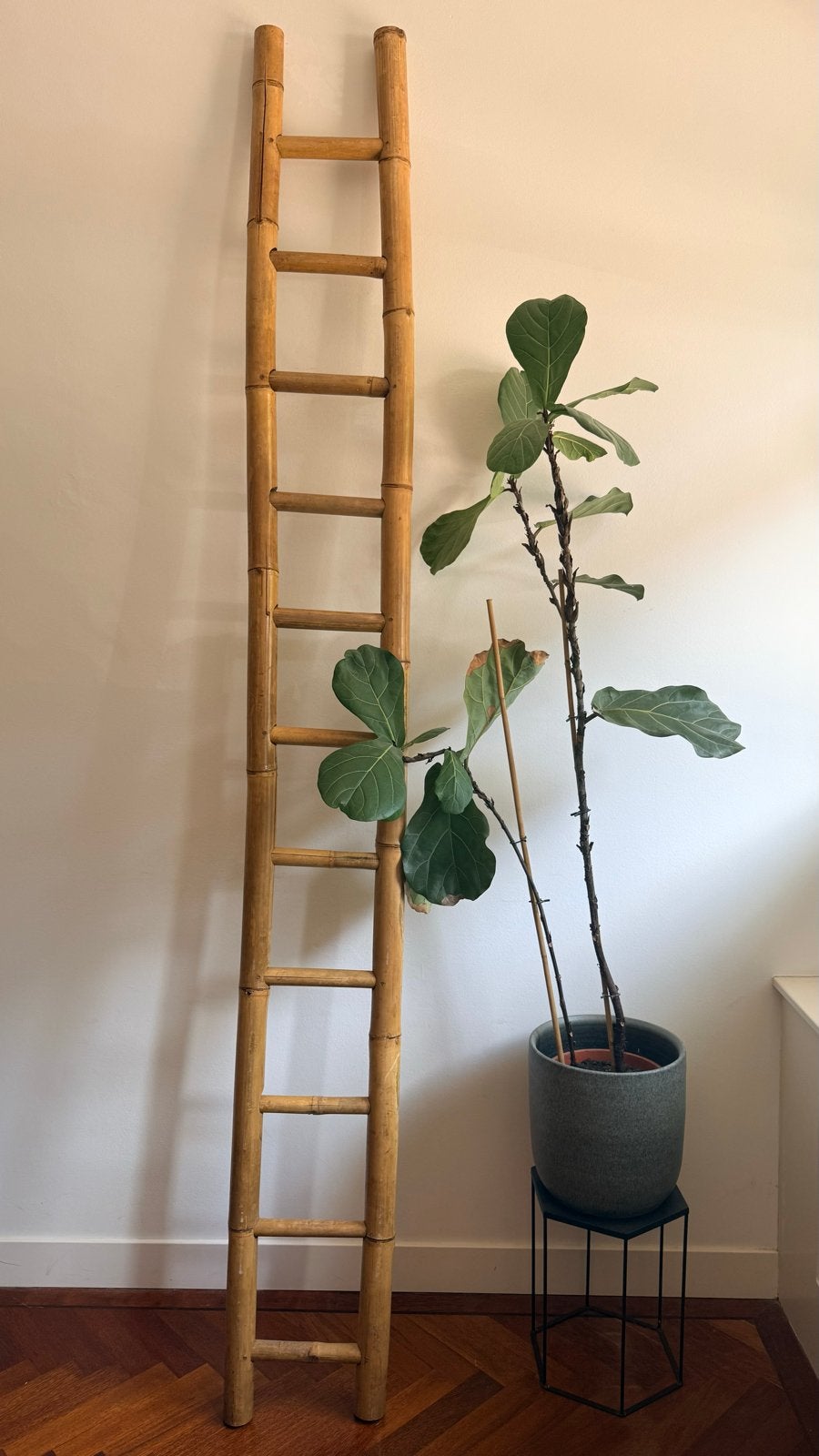 Decoratieve bamboeladder - 300cm hoog