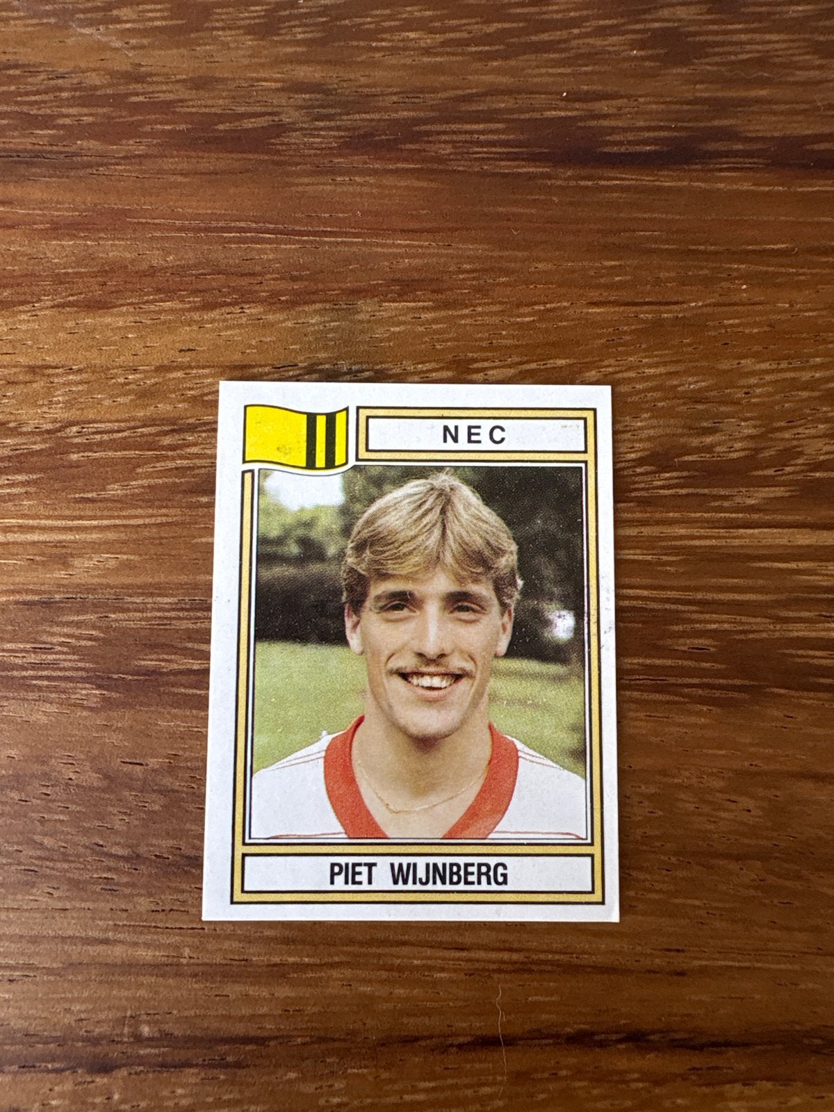 Piet Wijnberg NEC Voetbal 1983 Panini Plaatje, Ophalen of Verzenden, Zo goed als nieuw, Stickers en Plaatjes