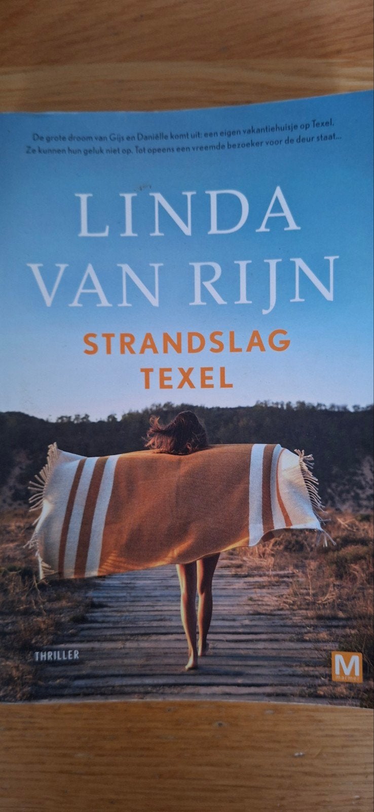 Linda van Rijn - Strandslag Texel, Ophalen of Verzenden, Zo goed als nieuw, Linda van Rijn