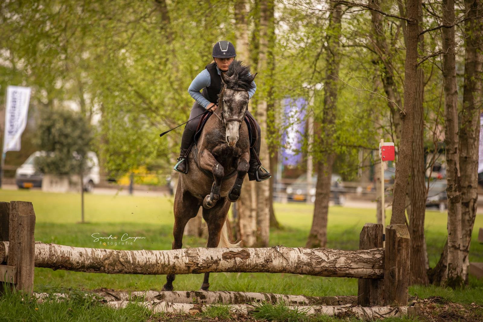 Prachtig sportpony te koop ( springpony ), Springpaard, B, Ruin, 7 tot 10 jaar