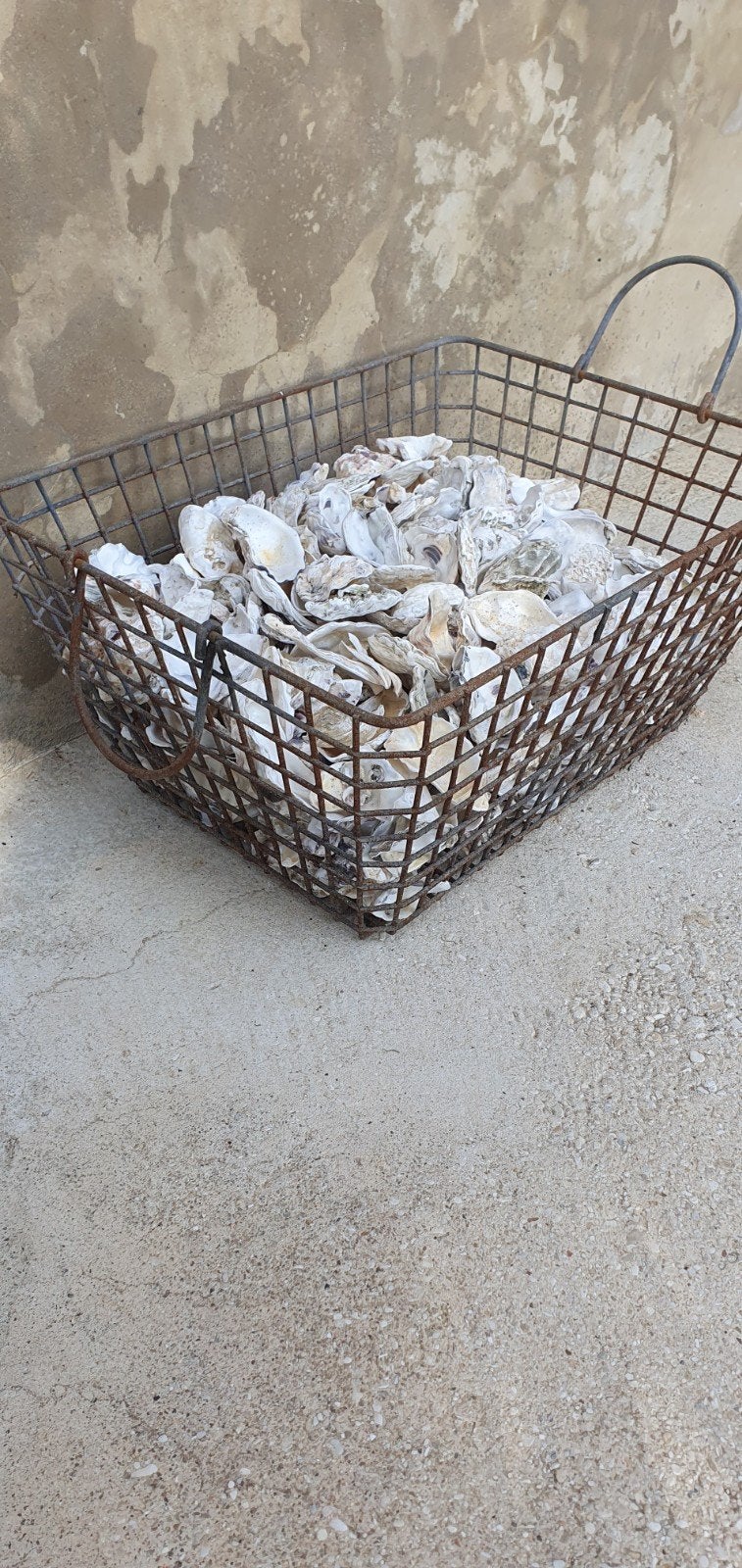 Stevige oude franse draadstalen mand oestermand tuinbrocante, Ophalen of Verzenden