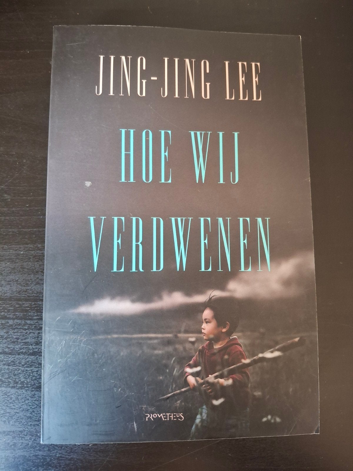 Jing-Jing Lee - Hoe Wij Verdwenen (Zo goed als nieuw), Ophalen of Verzenden, Zo goed als nieuw, Jing-Jing Lee, Nederland