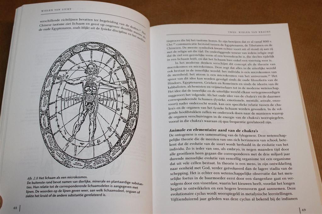 Wielen Van Licht — Rosalyn L. Bruyere — Chakra\'s & Aura\'s, Ophalen of Verzenden, Zo goed als nieuw, Overige onderwerpen, Achtergrond en Informatie