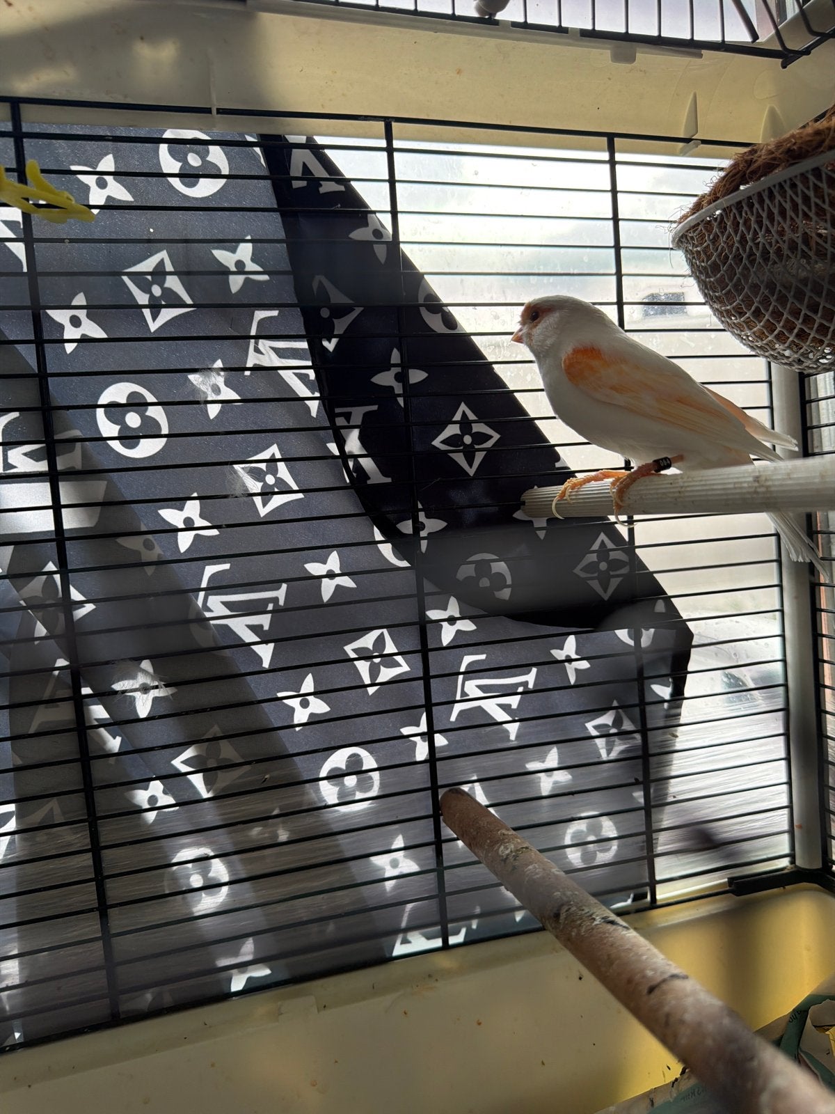 Vogel met kooi