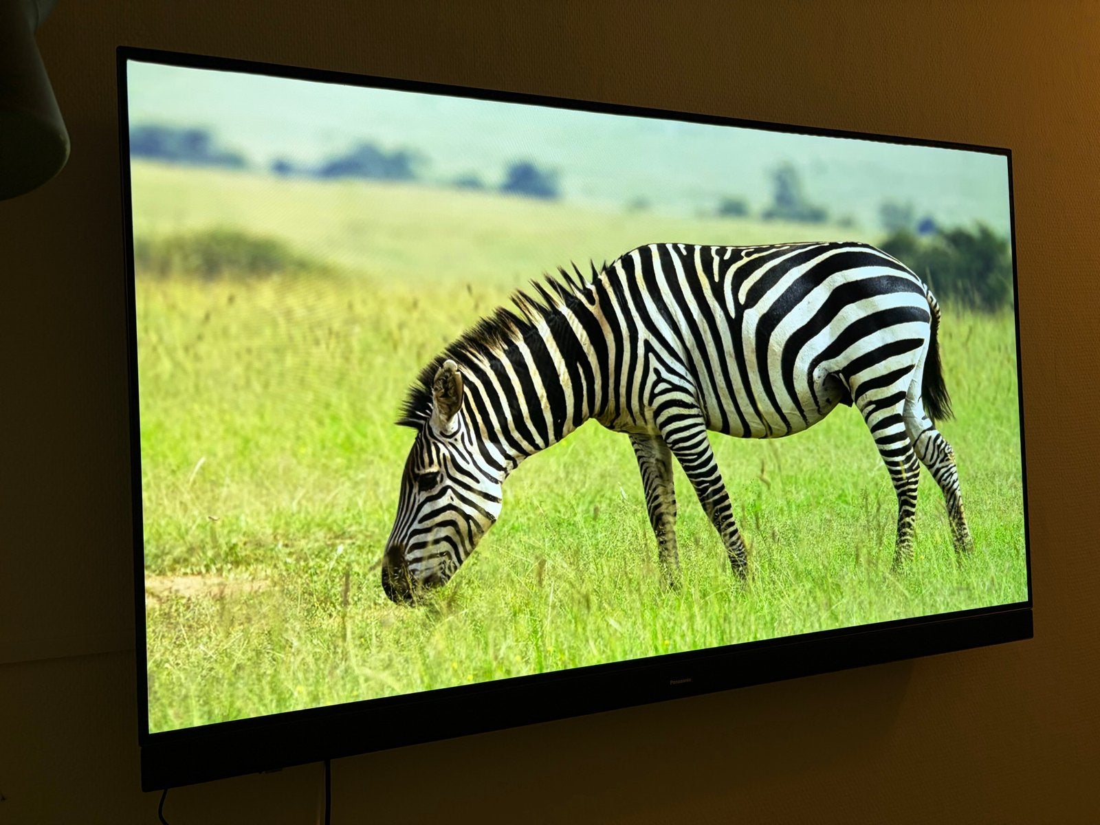 Panasonic TX-55HZ1500 OLED TV - Prachtige Beeldkwaliteit, Ophalen, Panasonic, OLED, Zo goed als nieuw