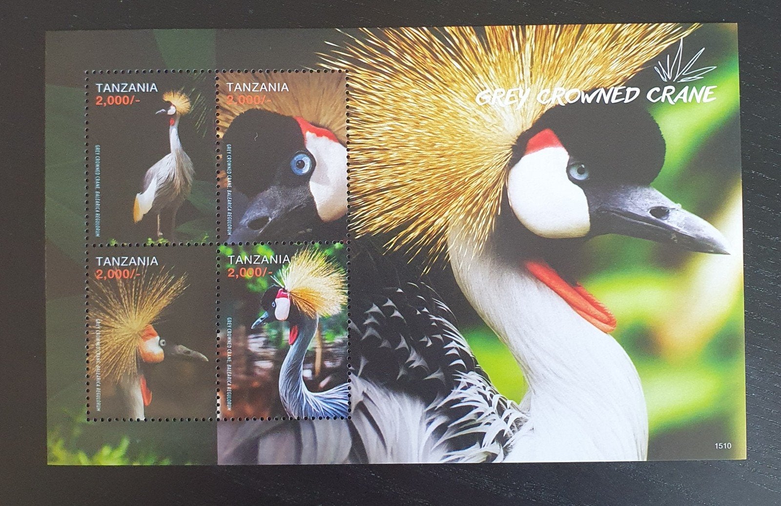 Tanzania 2016 Vogels Kraanvogel Michel 5247-5250 postfris, Postzegels en Munten, Verzenden, Postfris, Dier of Natuur