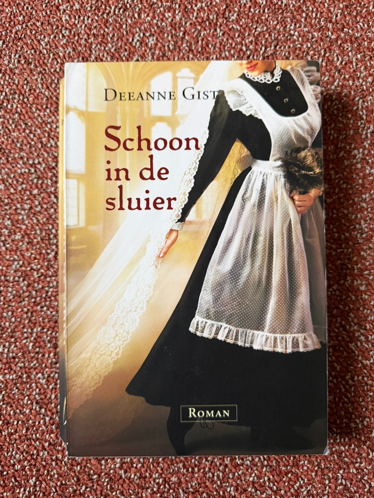 Deeanne Gist - Schoon in de sluier, Boeken, Ophalen of Verzenden, Gelezen, Deeanne Gist