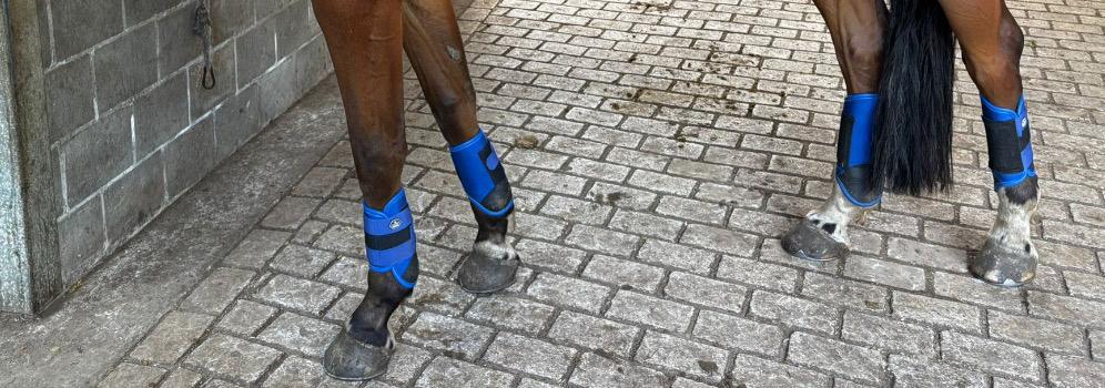 Crossbeschermers, Ophalen of Verzenden, Zo goed als nieuw