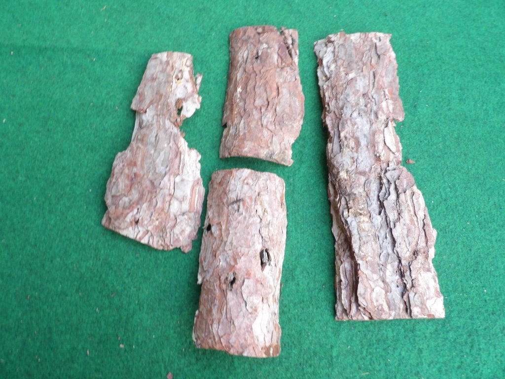 NIEUW 4 mooie grote droge stukken HOUTSCHORS ( 7 ), Ophalen of Verzenden, Nieuw