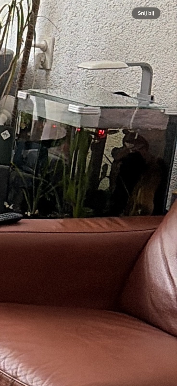 Aquarium, Ophalen, Gebruikt, Leeg aquarium