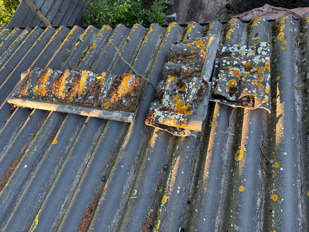 Gebruikte golfplaten voor dakbedekking, Tuin en Terras, Tuinhekken en Hekwerk, Gebruikt, IJzer, Ophalen