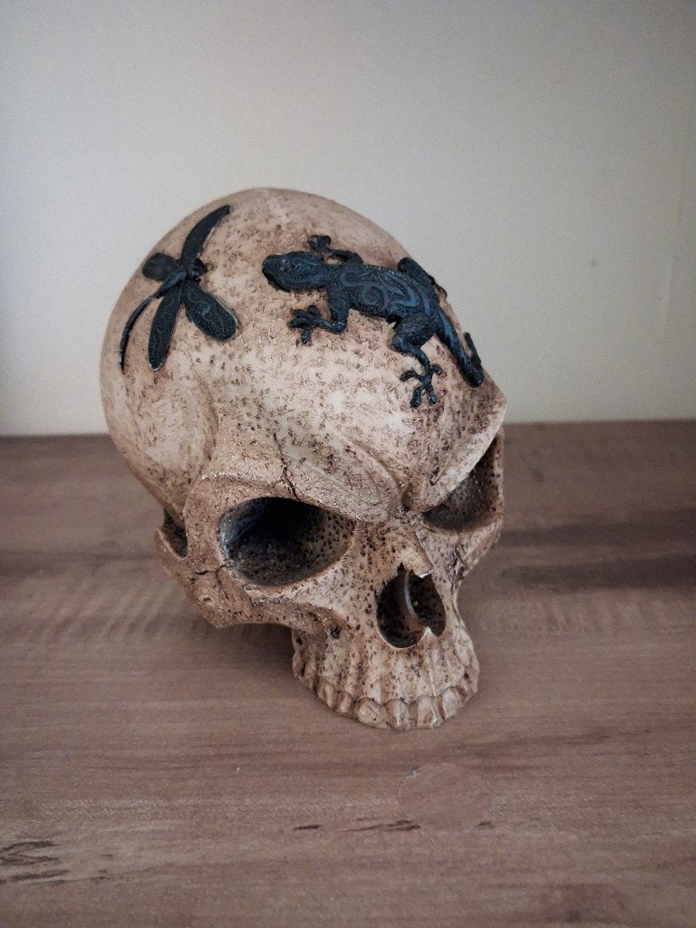 Gothic decoratieve schedel met hagedis en libelle, Verzamelen, Beelden en Beeldjes, Ophalen of Verzenden