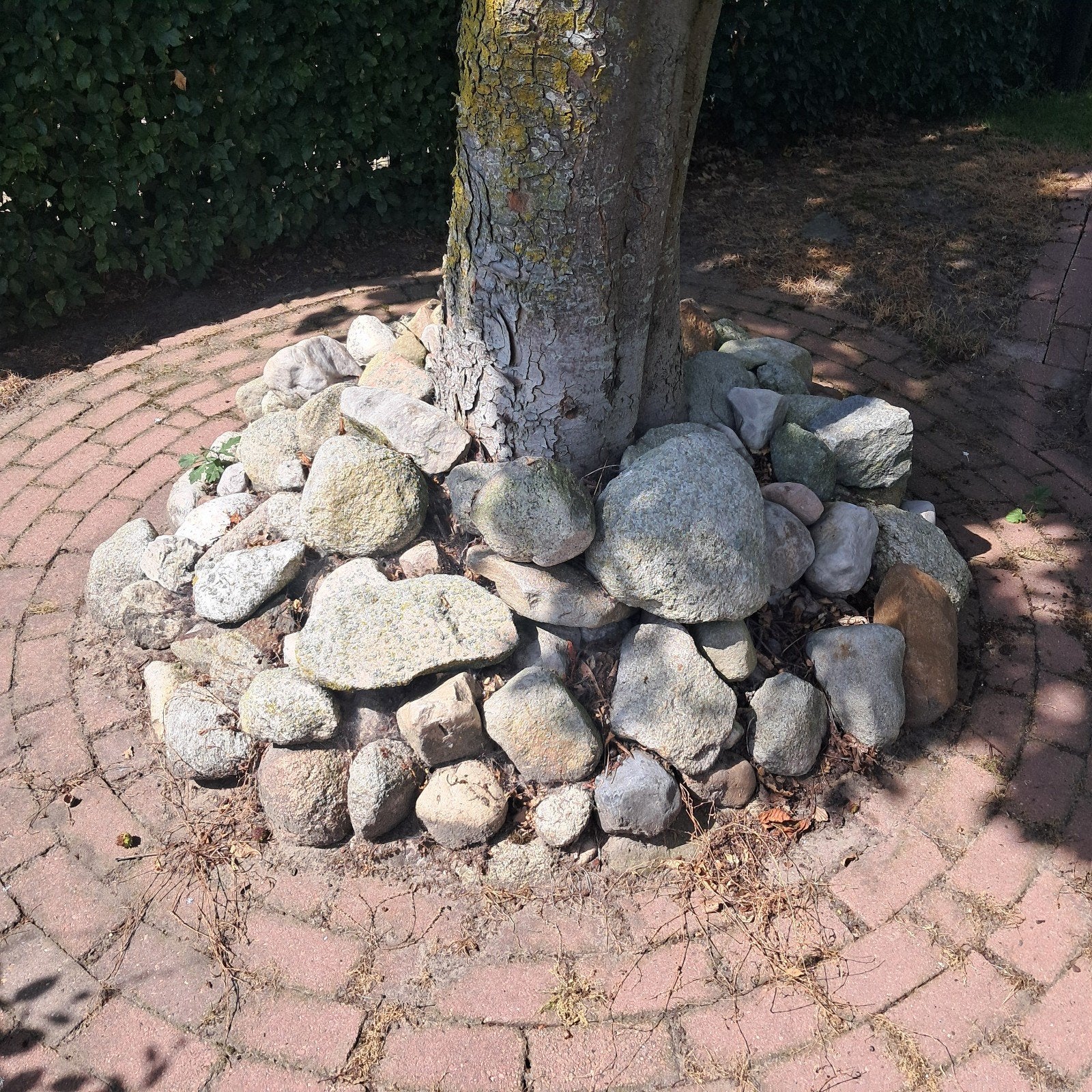 veld keien, Ophalen, Gebruikt