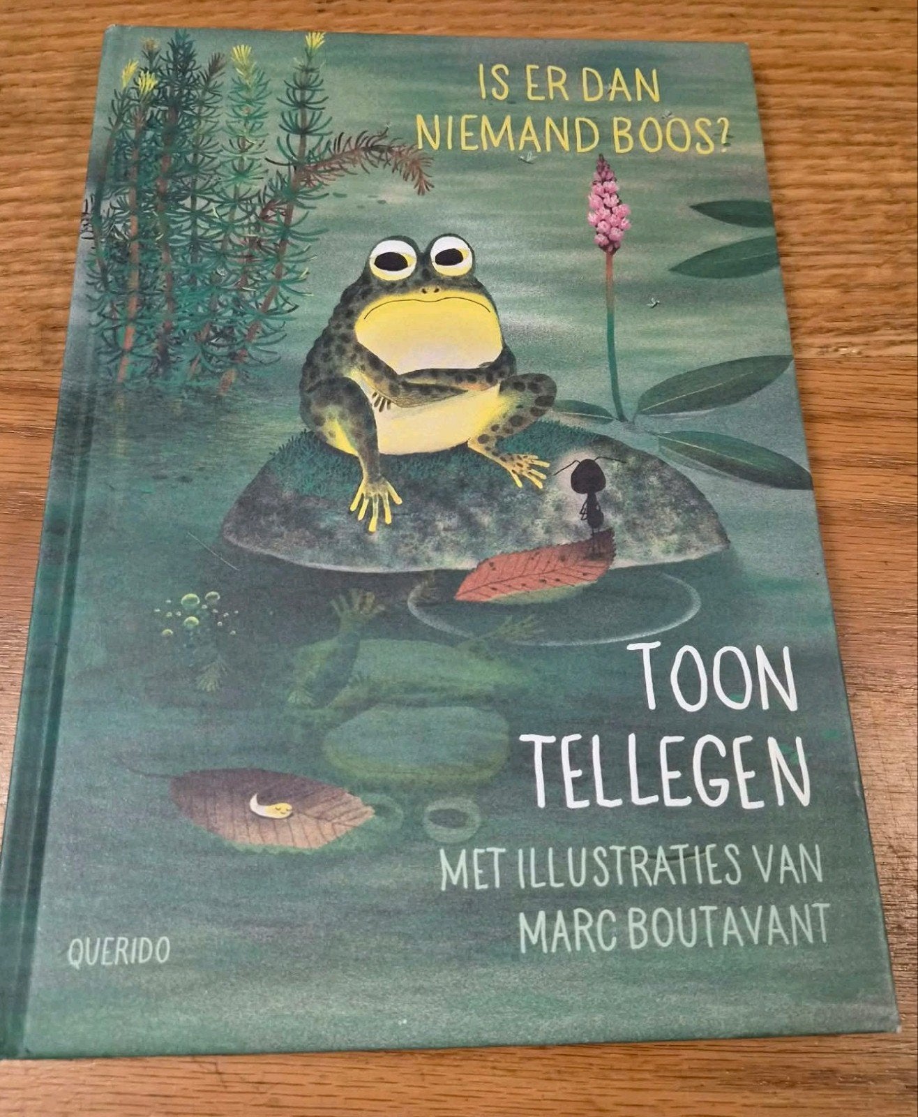 Is er dan niemand boos? - Toon Tellegen (Hardcover), Boeken, Ophalen of Verzenden, Zo goed als nieuw, Toon Tellegen, Fictie algemeen