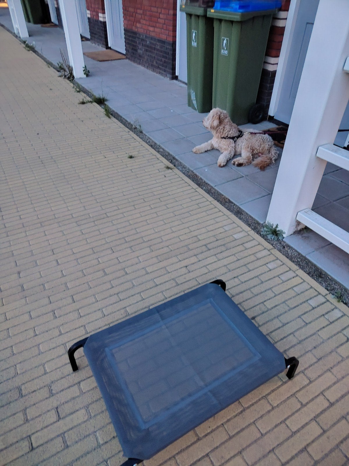Stretcher hond, Ophalen of Verzenden, Zo goed als nieuw, Overige