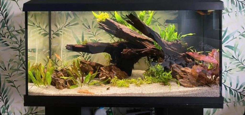 Juwel aqarium, Dieren en Toebehoren, Vissen | Aquaria en Toebehoren, Ophalen, Zo goed als nieuw