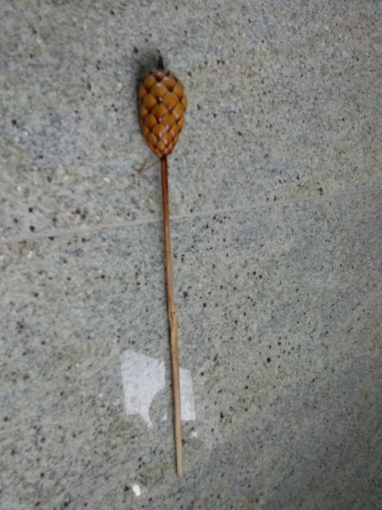 stok met dennenappelachtige vorm, Ophalen of Verzenden, Gebruikt