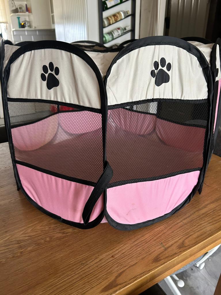 Eerste benodigdheden voor een kitten, Dieren en Toebehoren, Ophalen of Verzenden, Zo goed als nieuw