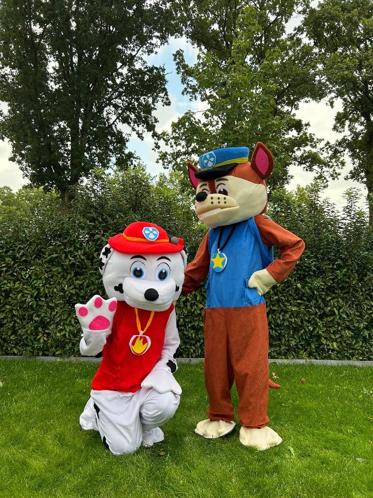 Te Huur: Paw Patrol-Kostuum, Verjaardag,Carnaval, Paw Patrol, Ophalen of Verzenden, Zo goed als nieuw, Verjaardag