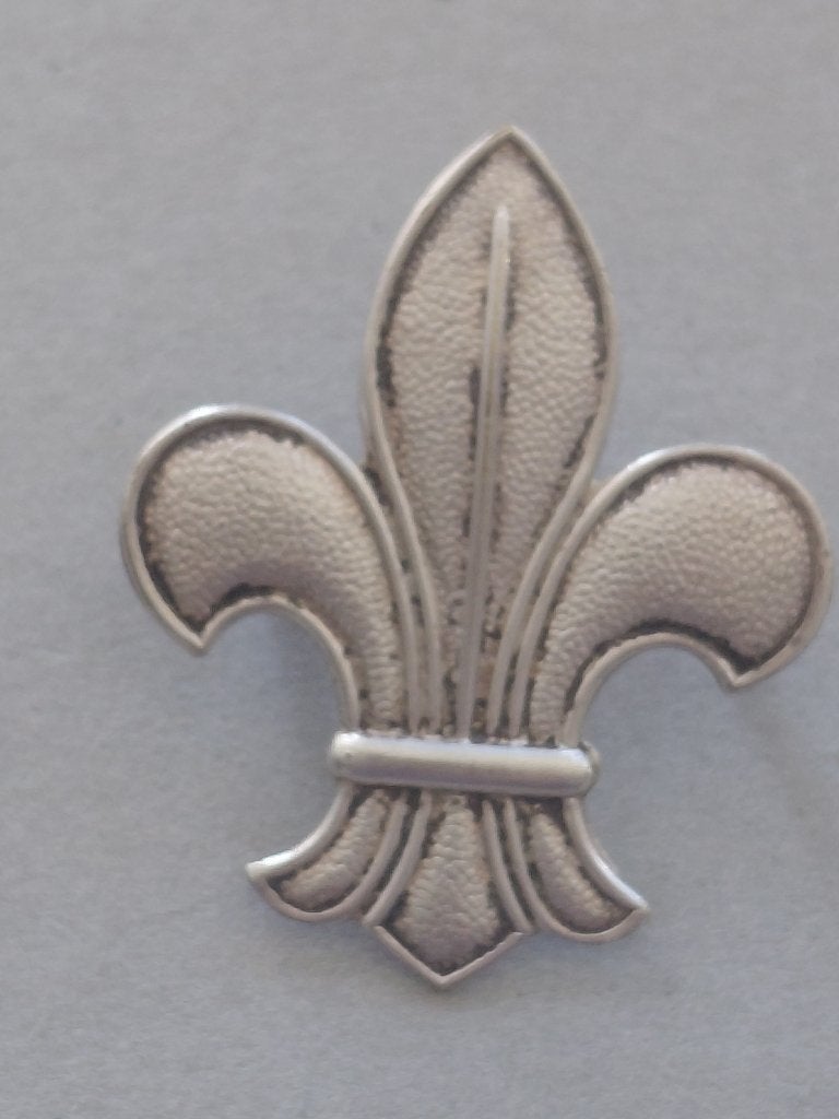 Baret insigne Katholieke scouting padvinderij 4,5cm bij 4cm., Ophalen of Verzenden, Zo goed als nieuw, Embleem, Speld of Insigne